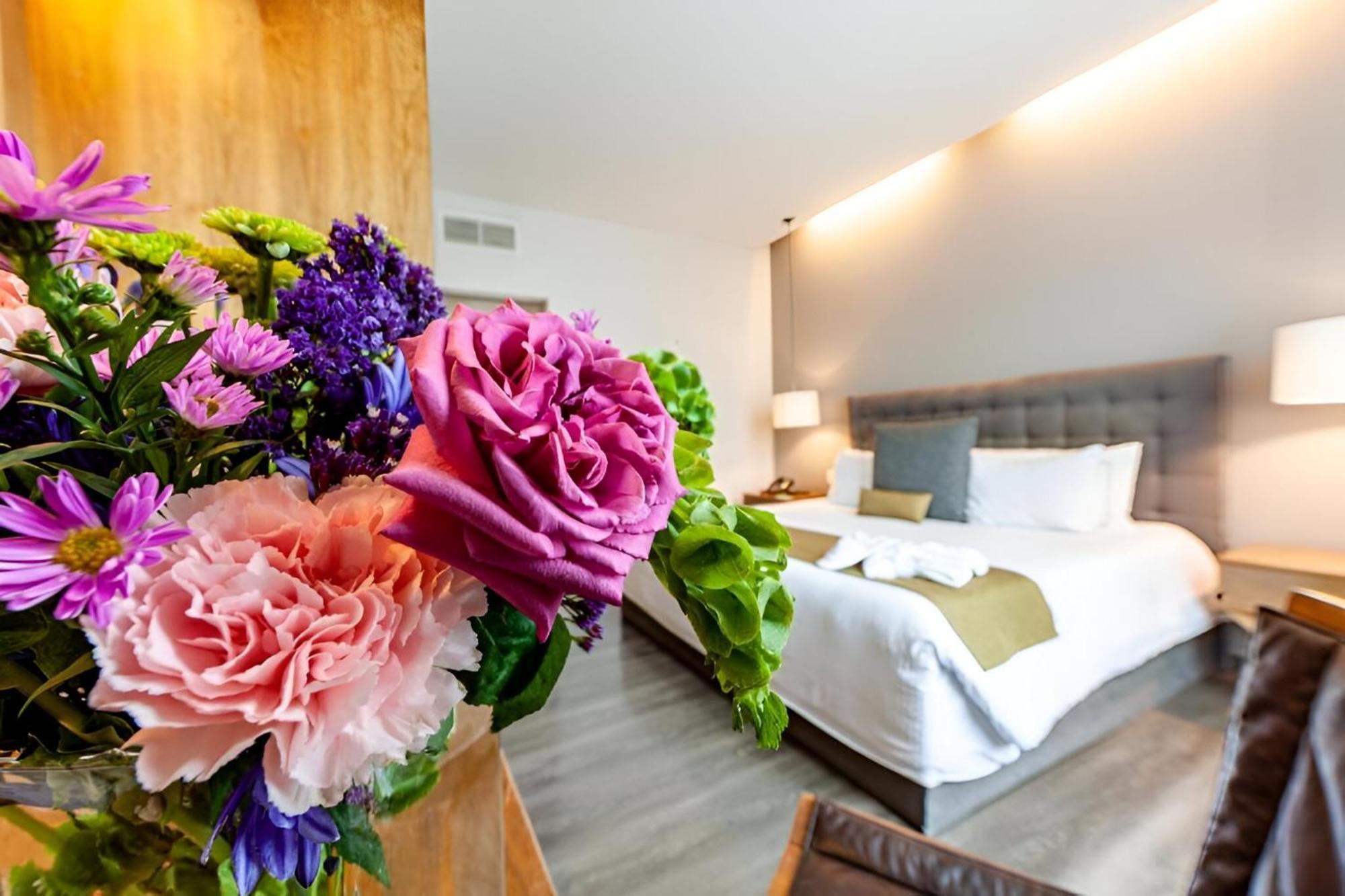 Suites Del Angel Mexico City Luaran gambar